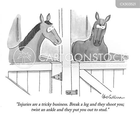 Horse Injuries Cartoons and Comics .
